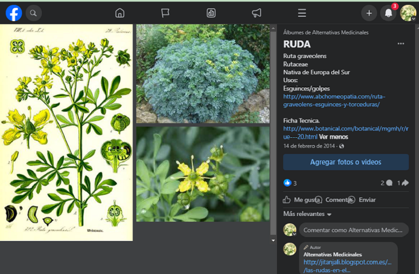 Ruda