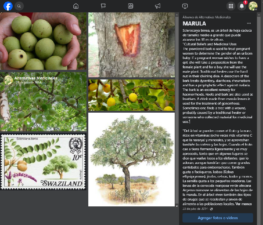 Marula