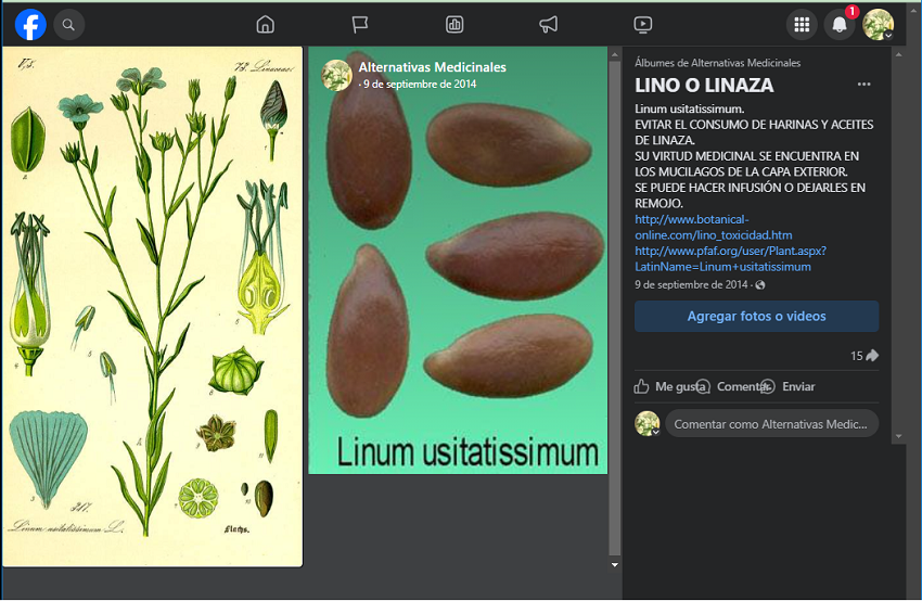 Lino