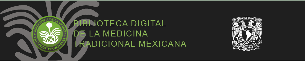 MT Mexicana